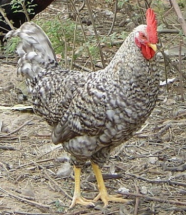 «������